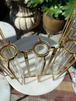 Feng Sway Exclusive Iron Test Tube Propagation Set