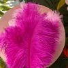 Feng Sway Fuchsia Ostrich Feathers DRIED FLORALS + FEATHERS