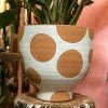 Feng Sway 10" POTS Large Spotted Terra Cotta Pot