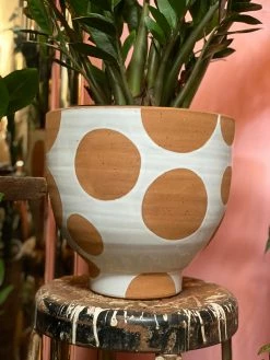 Feng Sway 10" POTS Large Spotted Terra Cotta Pot