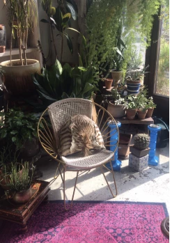 Feng Sway Exclusive ALL HOME DECOR + ODDITIES Sun Beam Chair