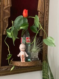 Vintage Bisque Kewpie Doll GIFTS