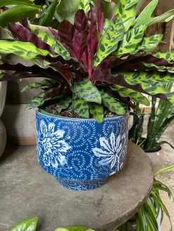 Feng Sway 8-9" POTS Indigo Floral Stoneware Planter