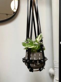 Feng Sway ALL POTTERY Spiky Black + Nickel Vegan Patent Harness By PURITAN CANDY