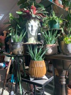 Feng Sway Exclusive FUN Greek Hermes Head Pot