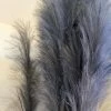 Feng Sway FAUX + PRESERVED Charcoal Faux Pampas Stems