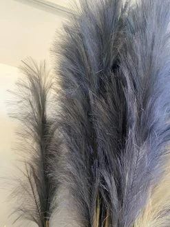 Feng Sway FAUX + PRESERVED Charcoal Faux Pampas Stems