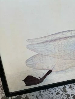 Feng Sway Exclusive Framed Swan Wall Hanging