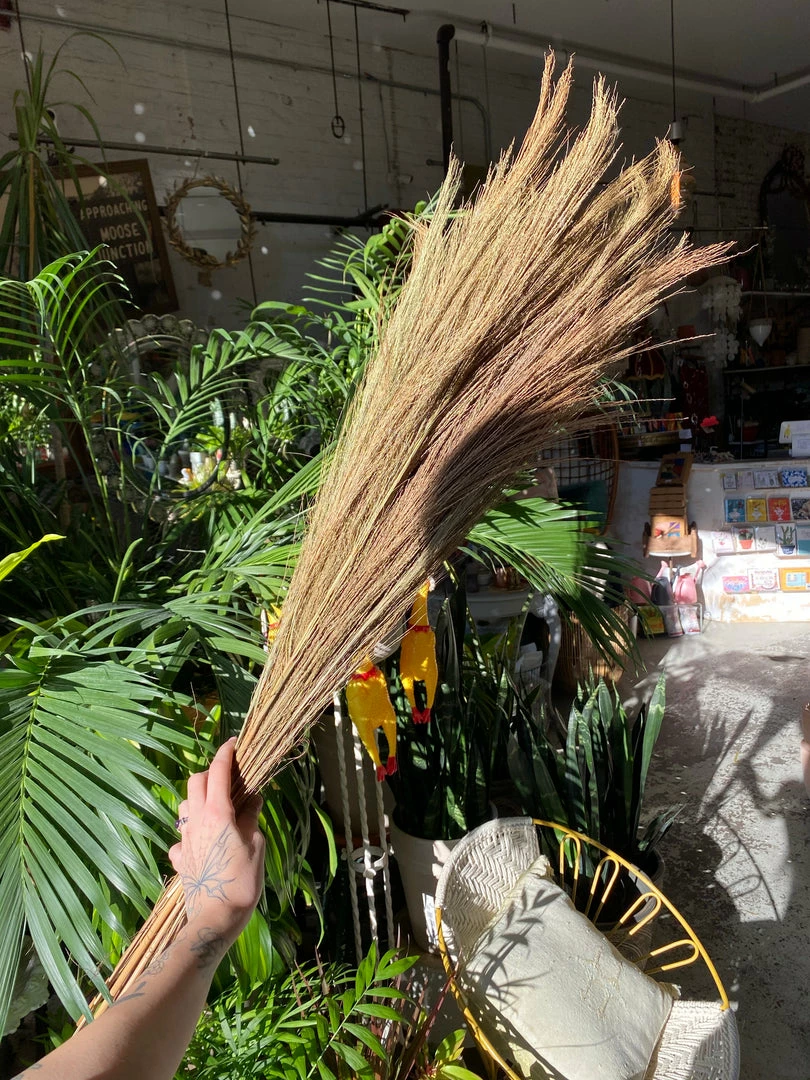 Feng Sway Tiger Grass Bundle 7 Feng Sway Tiger Grass Bundle