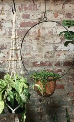 Feng Sway Full Moon Terra Cotta Hanging Planter 4-5